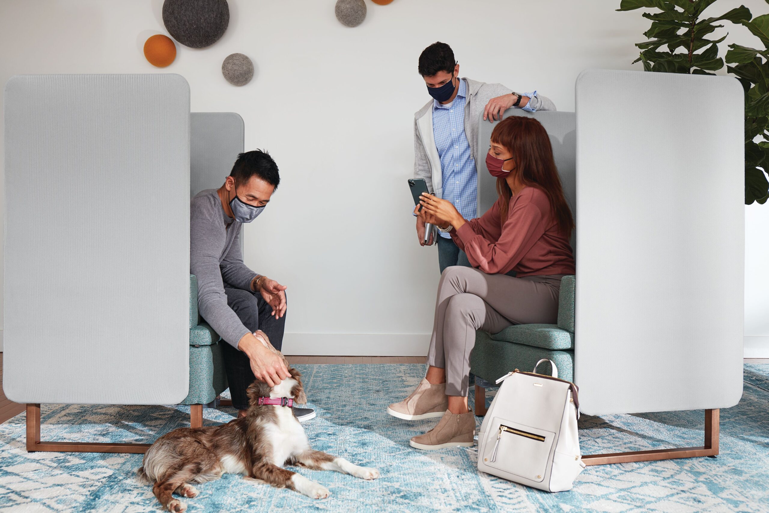 dog and pet friendly office furniture