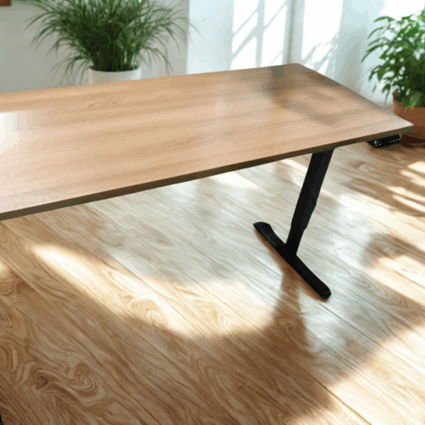 Untitled Design 2026 01 19t074732.009